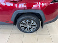 2025 Toyota RAV4 Hybrid XLE Premium