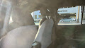 2025 Toyota 4Runner TRD Sport